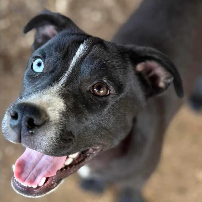 Harper Lea Tucker thumbnail 5