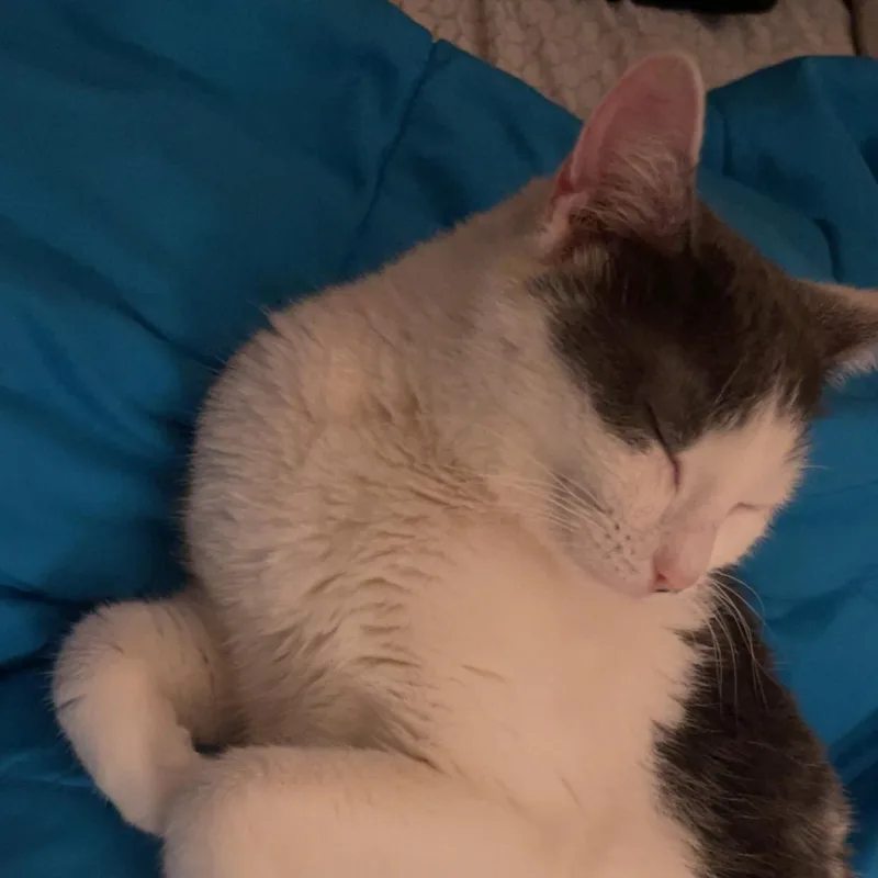 Suki Coming In thumbnail 2
