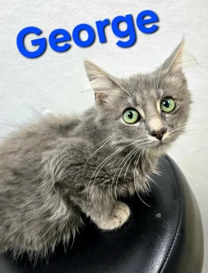 George
