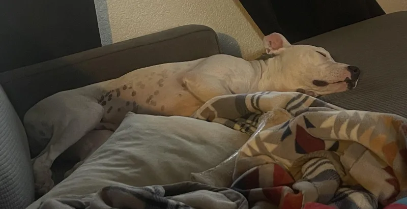 Nikki thumbnail 4