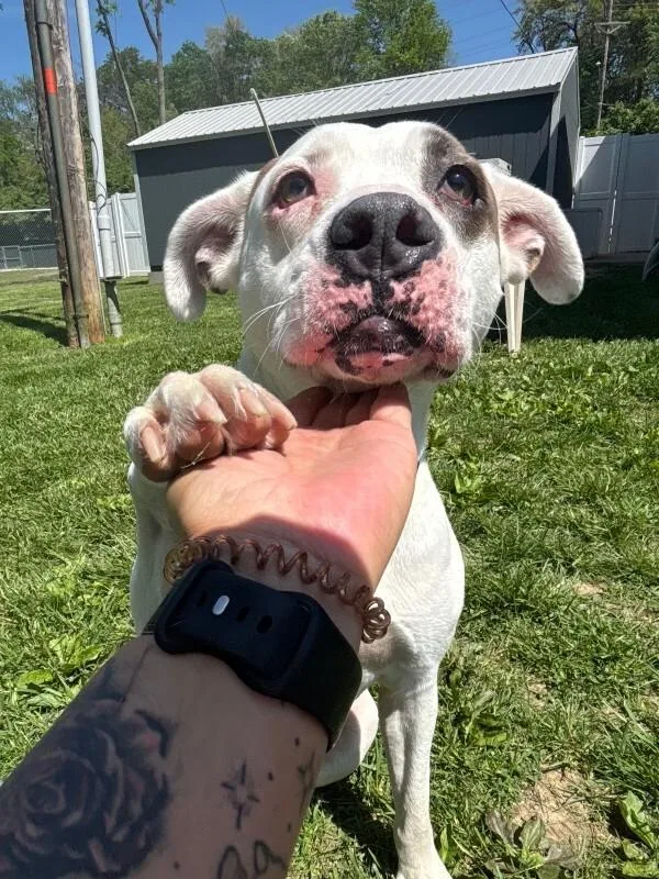 Petey