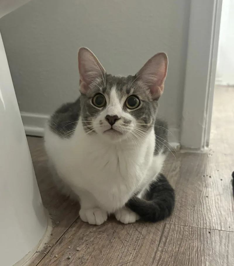 Yew  She's Ready thumbnail 2