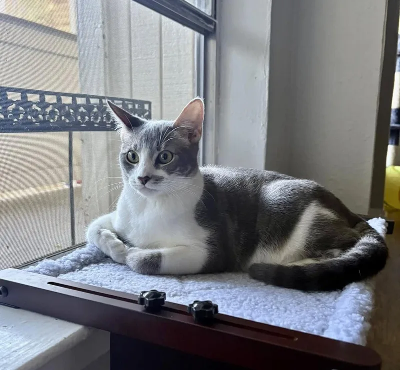 Yew  She's Ready thumbnail 4