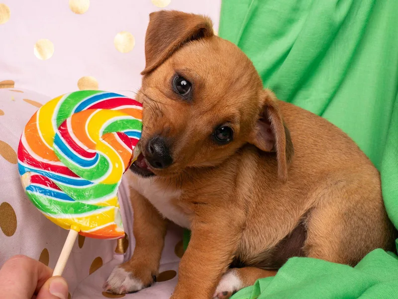 Candy: Bit O Honey thumbnail 3