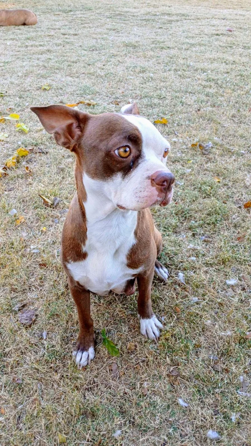 Cissy  Phoenix Az thumbnail 2