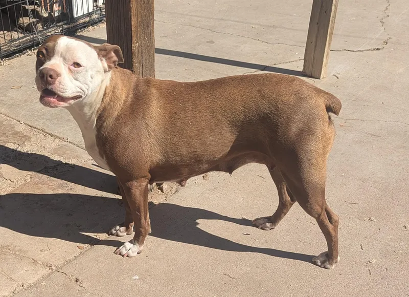 Cissy  Phoenix Az thumbnail 4