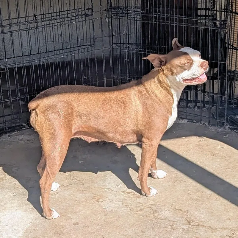 Cissy  Phoenix Az thumbnail 5