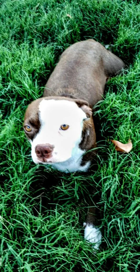 Cissy  Phoenix Az thumbnail 6