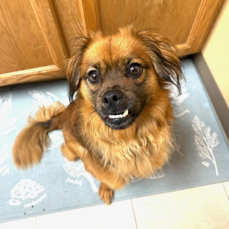 Ernie thumbnail 3