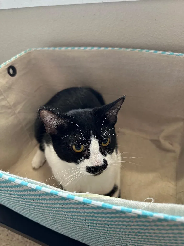 Edith  Sponsored By thumbnail 2