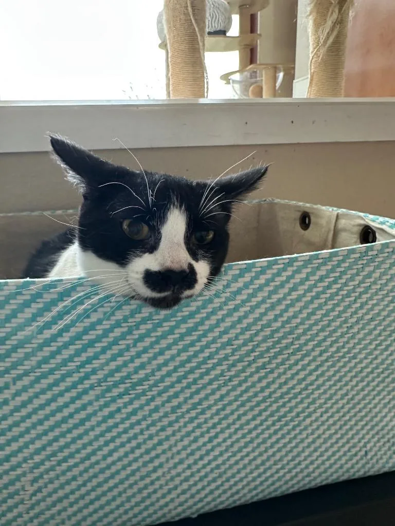 Edith  Sponsored By thumbnail 3