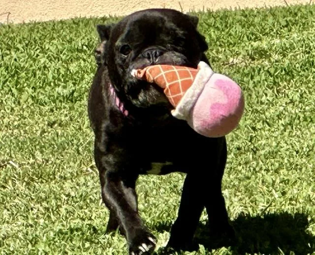 Sweet Delilah Jane thumbnail 4