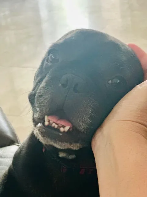 Sweet Delilah Jane thumbnail 5