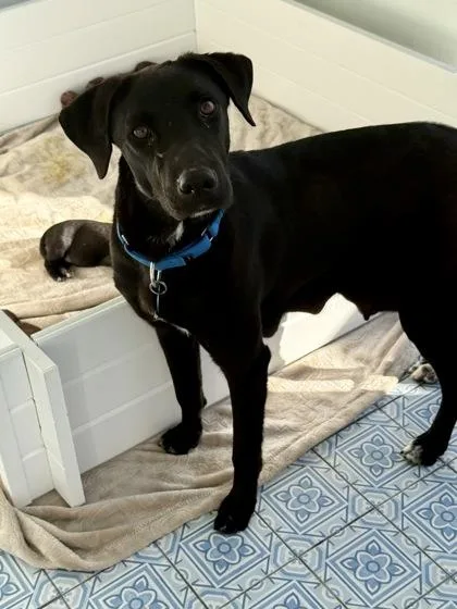 Sapphire thumbnail 2