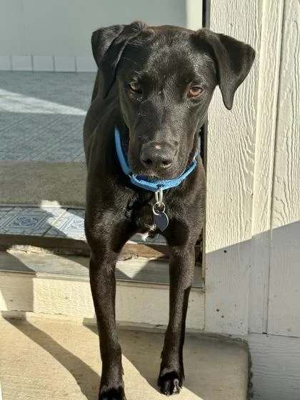 Sapphire thumbnail 3