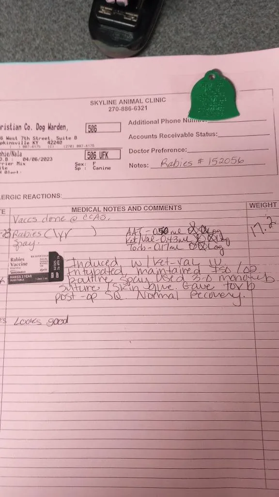 Sophienala thumbnail 3