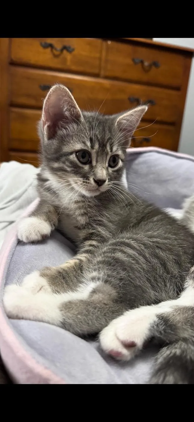 Sparkles thumbnail 2