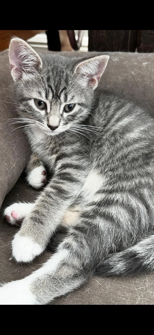 Sparkles thumbnail 3