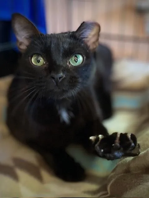 Madison Wcamilla thumbnail 2