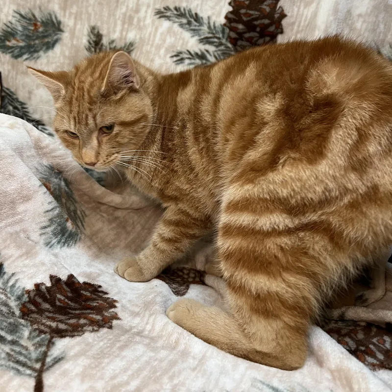 Derrick  At Petsmart thumbnail 3