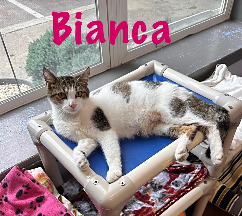 Bianca thumbnail 2