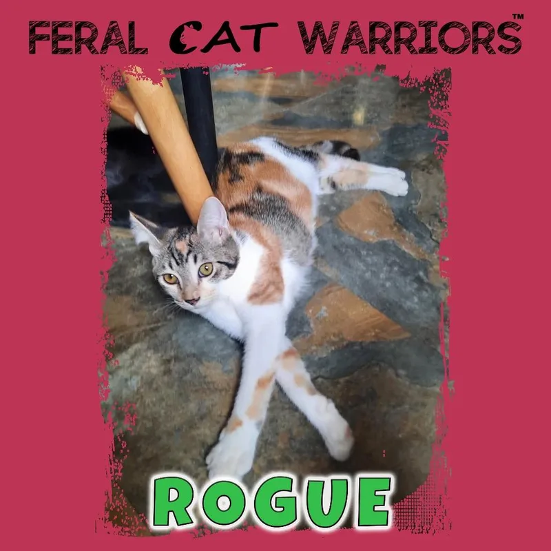 Rogue