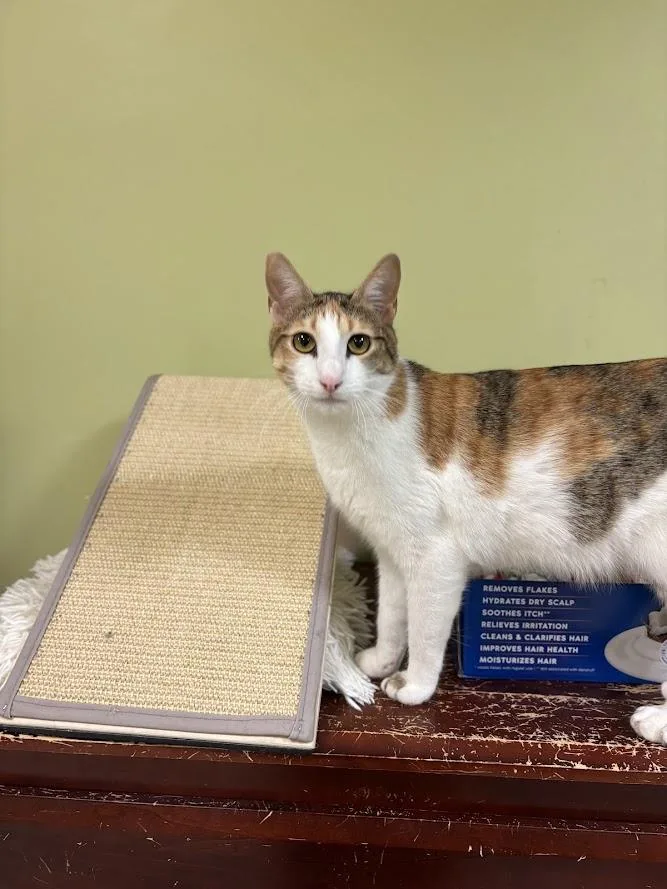 Pepper Potts thumbnail 6