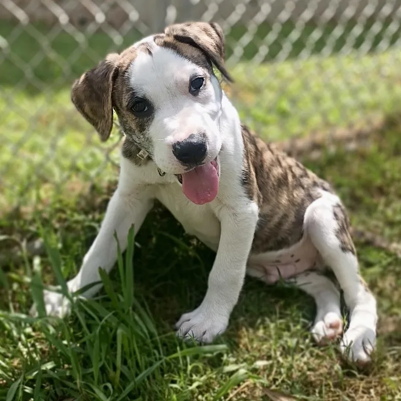 Meet Clint: Handsome Boy thumbnail 2