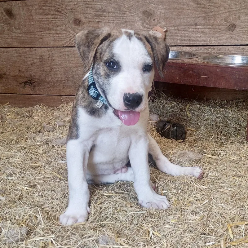 Meet Clint: Handsome Boy thumbnail 3