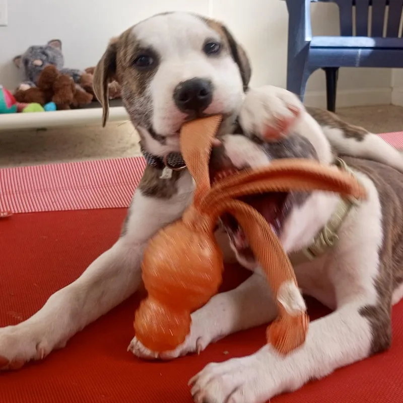 Meet Clint: Handsome Boy thumbnail 4