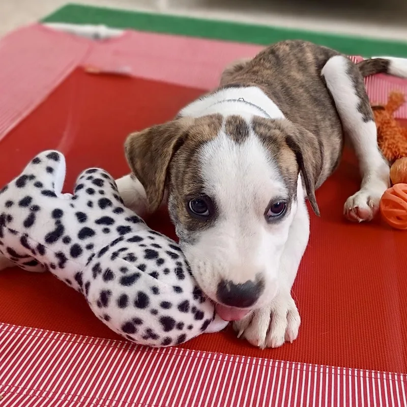 Meet Clint: Handsome Boy thumbnail 5