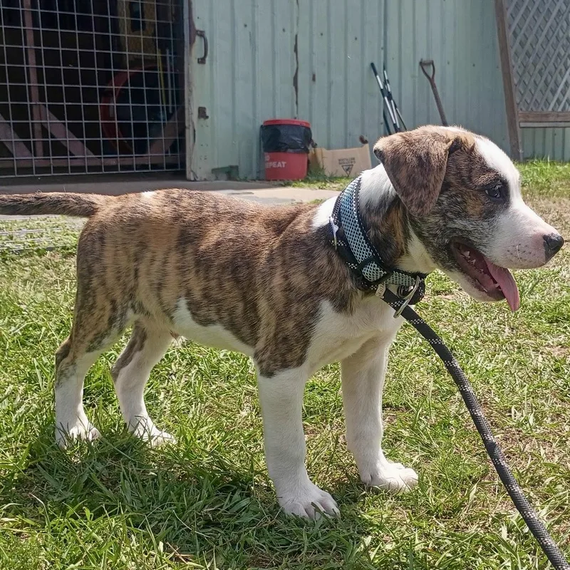 Meet Clint: Handsome Boy thumbnail 6