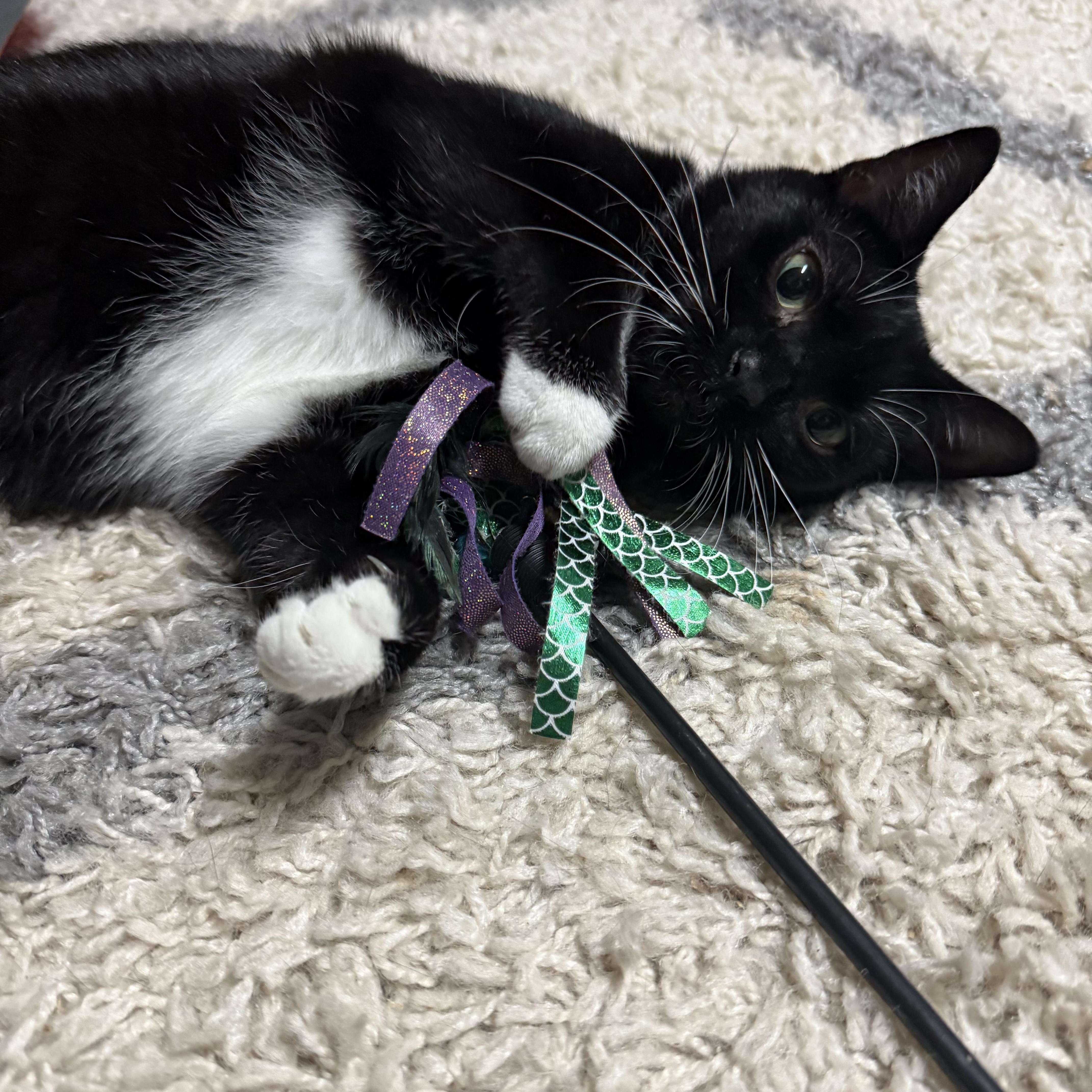 Princess thumbnail 6