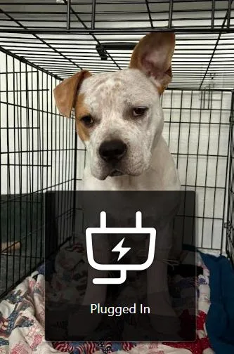 Zuko thumbnail 3