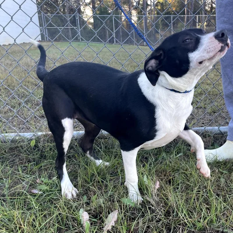 Coachella thumbnail 5