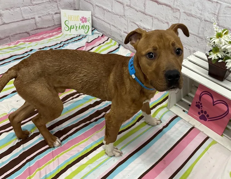 Knead Love thumbnail 2