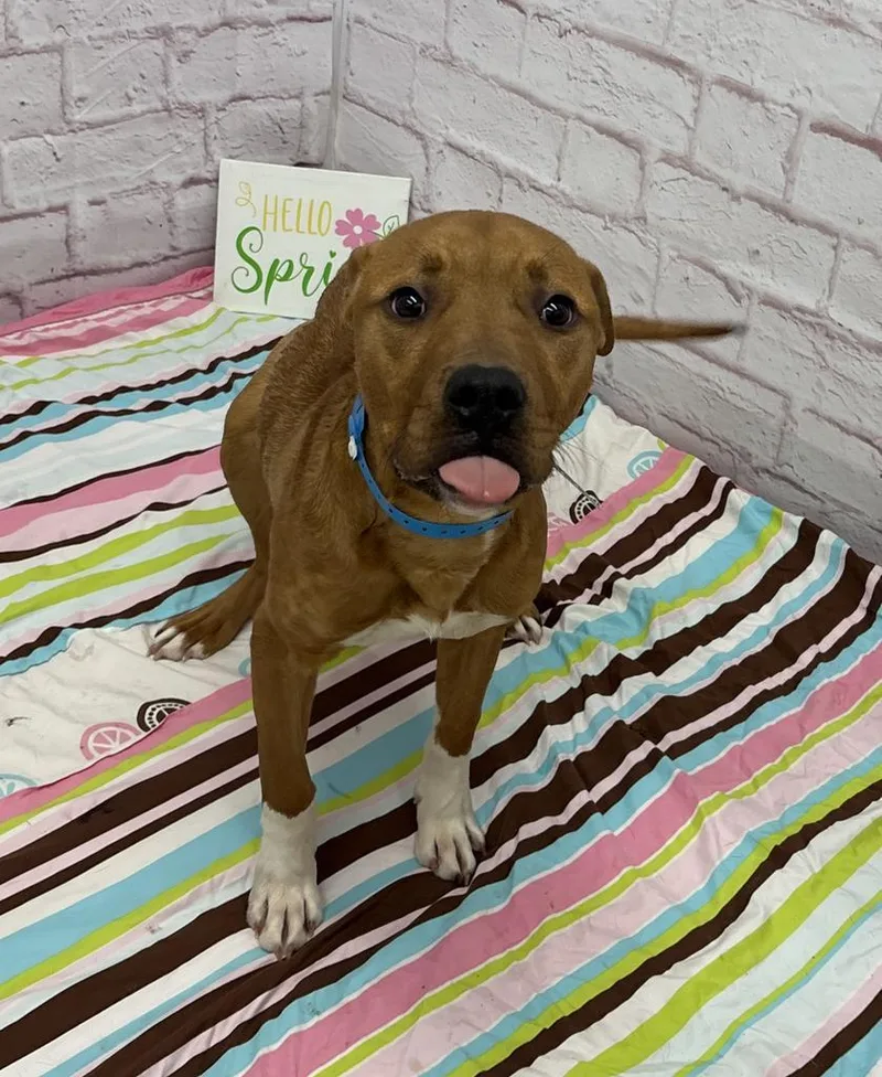 Knead Love thumbnail 3