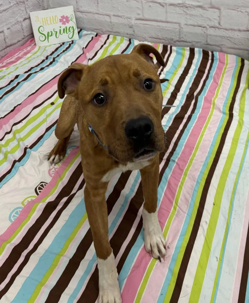 Knead Love thumbnail 4