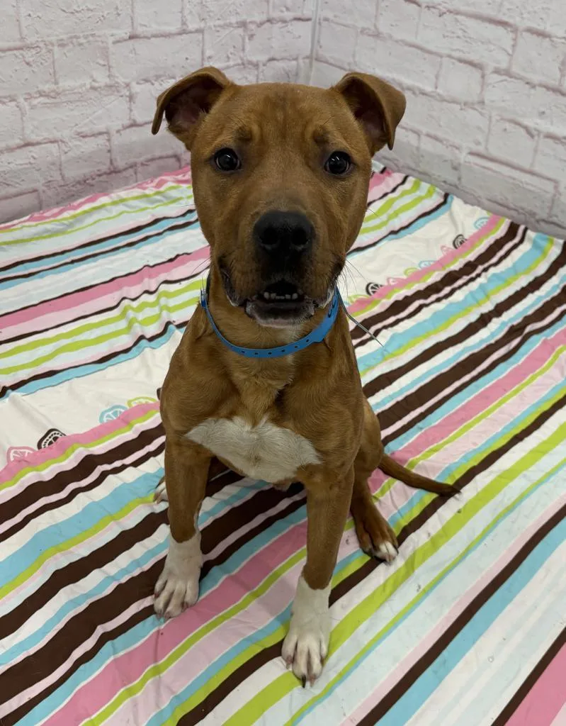 Knead Love thumbnail 5