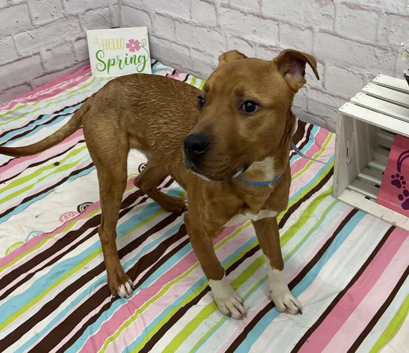 Knead Love thumbnail 6