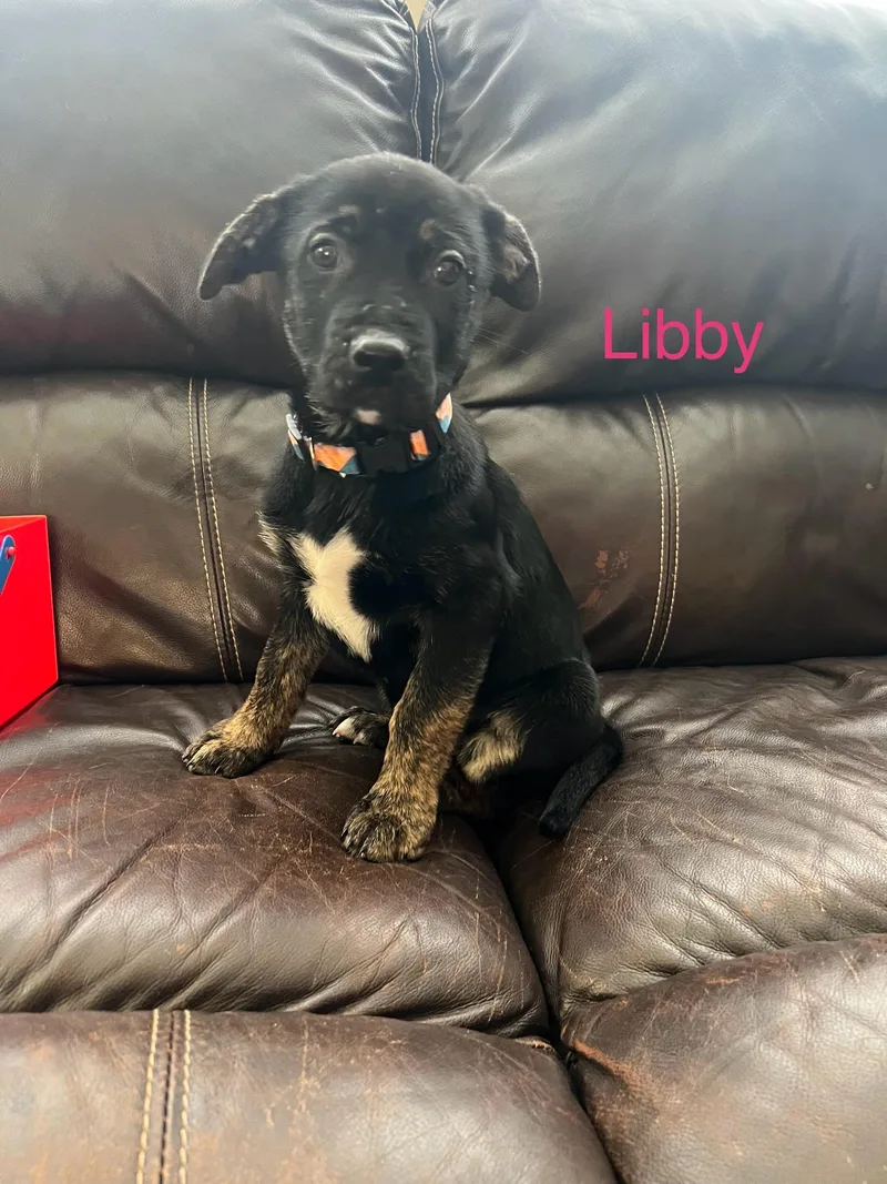 Libby thumbnail 2