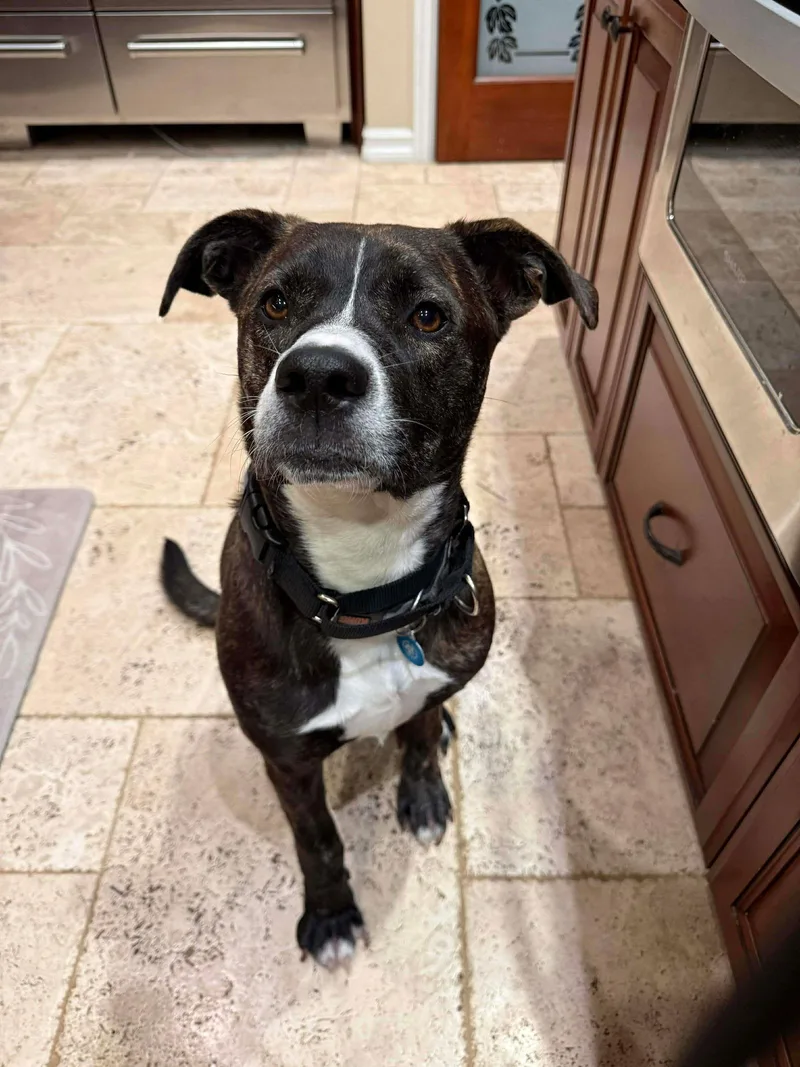 Lr  Faith thumbnail 2