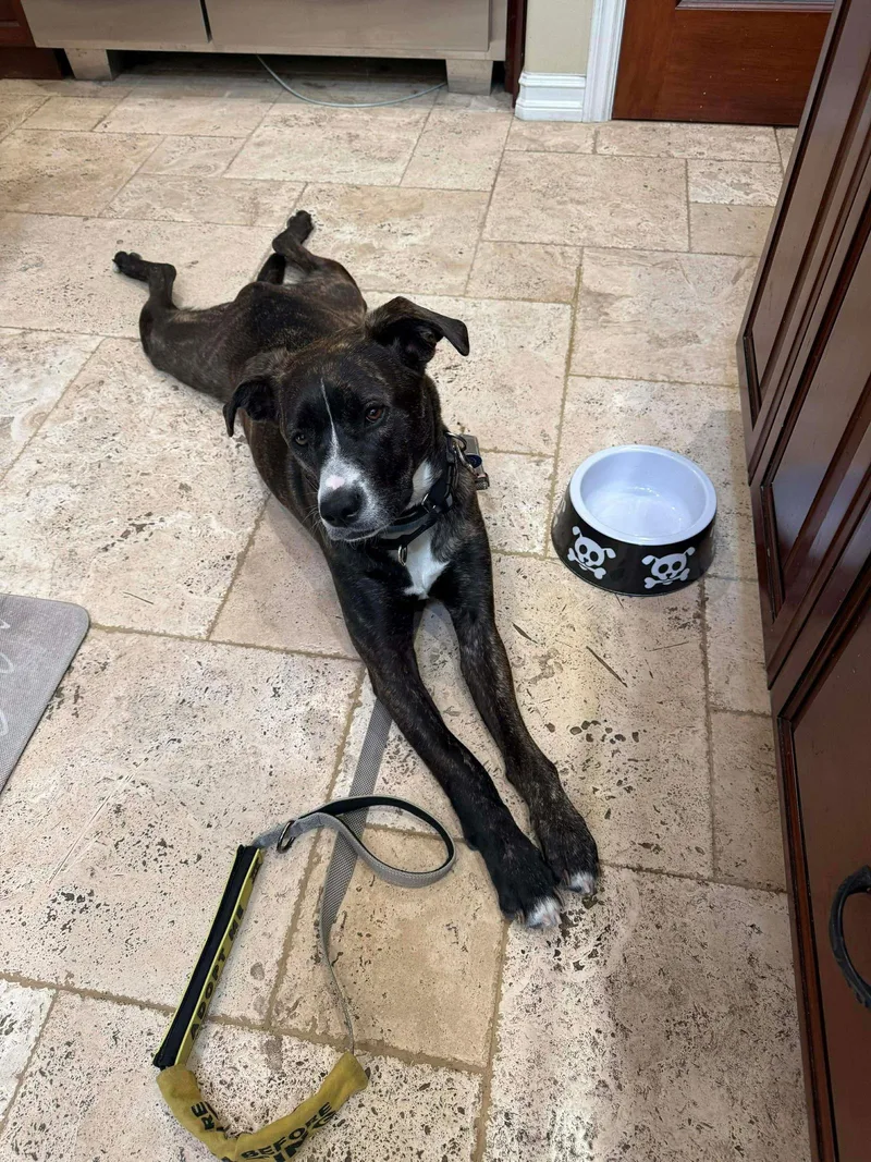 Lr  Faith thumbnail 3