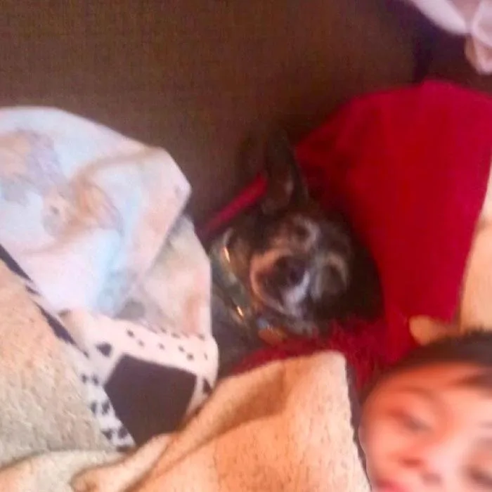 Henry Loves Everyone thumbnail 3