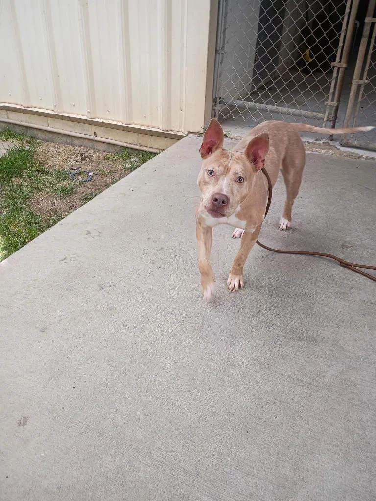 Delilah thumbnail 3