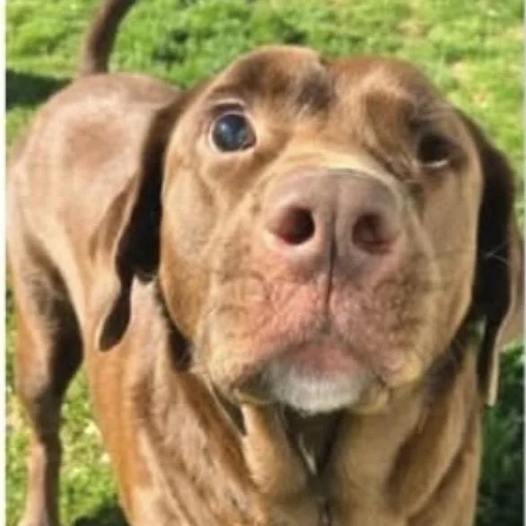 Jack thumbnail 2