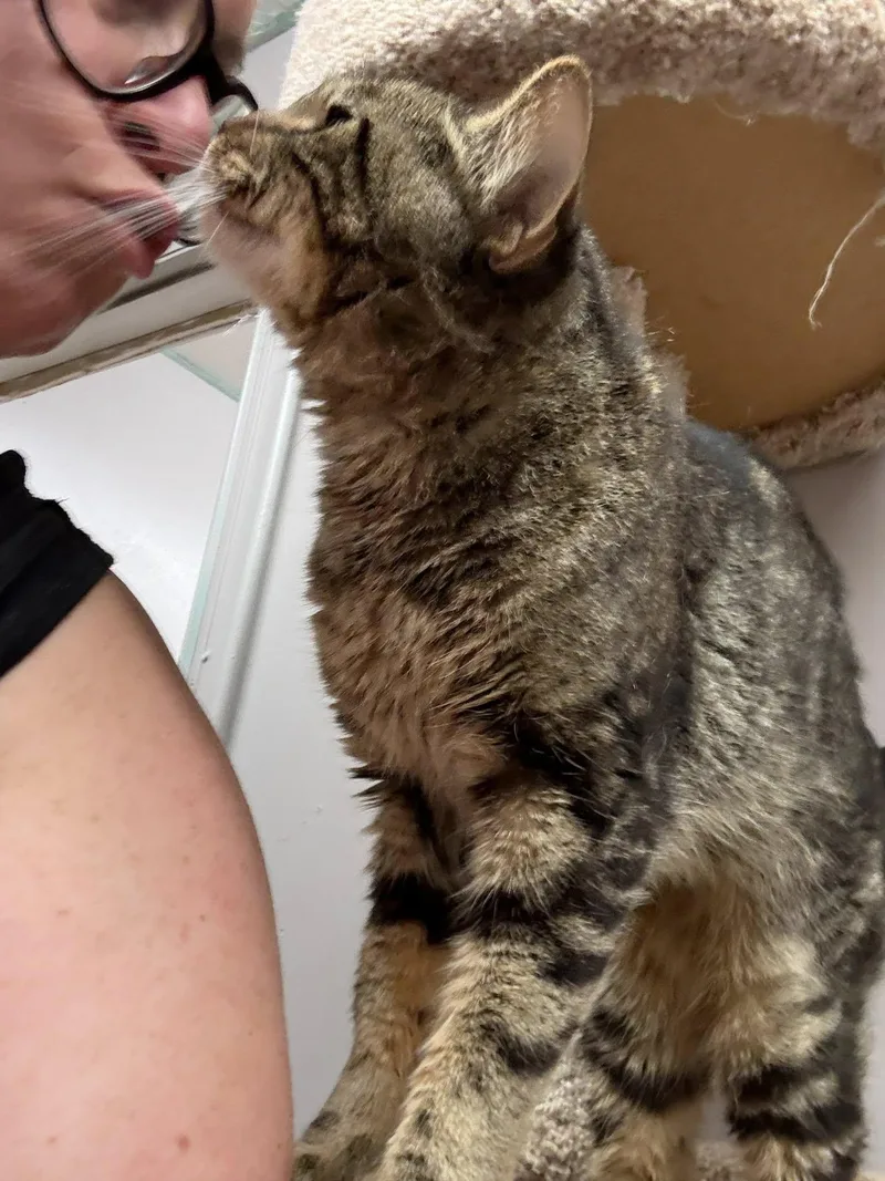 Salvatore thumbnail 2