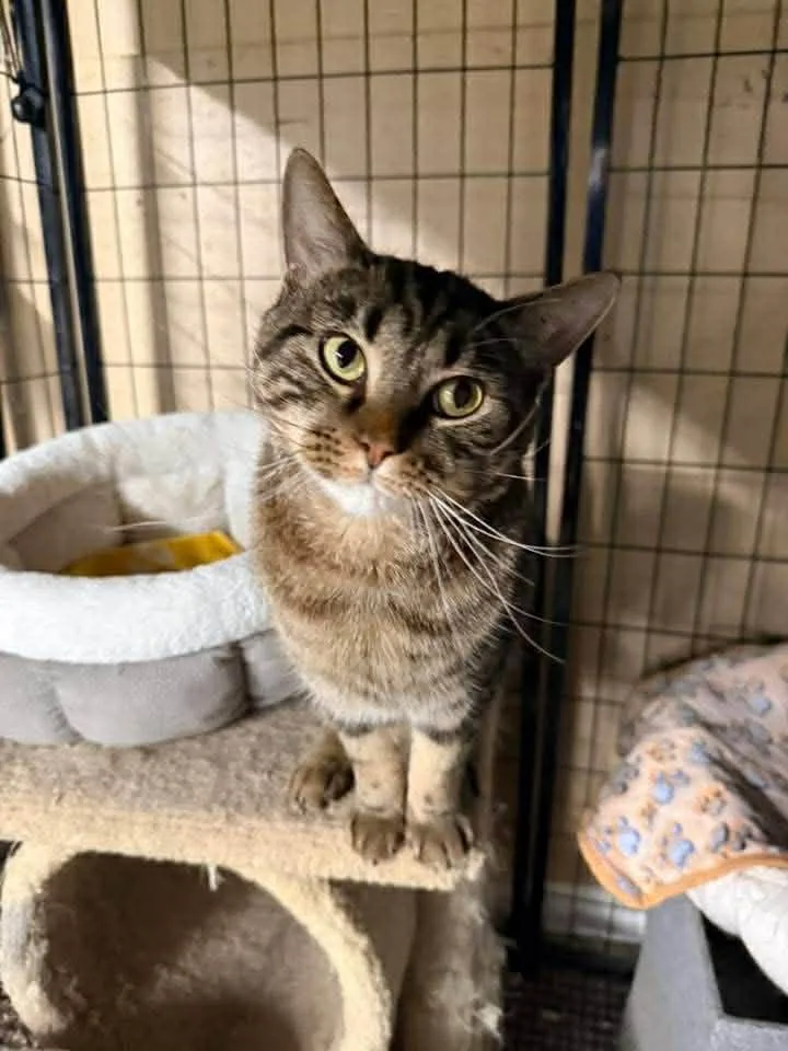 Salvatore thumbnail 4