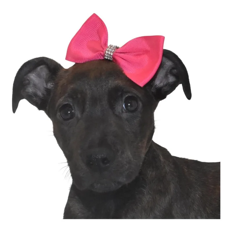 Gigglybelle thumbnail 3