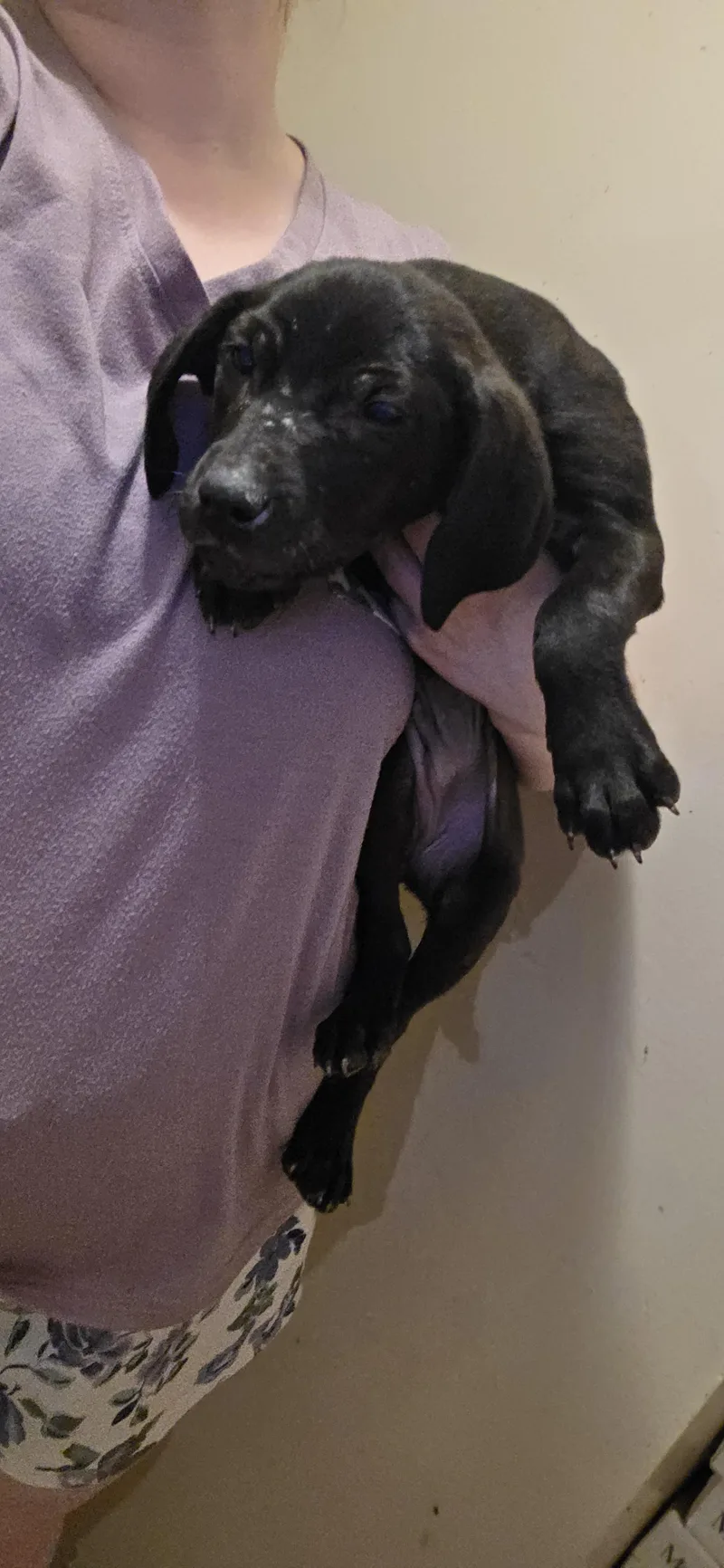 Esther